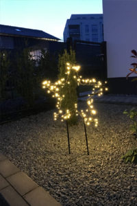 Weihnachtsstern leuchtet im Garten eines Wohnhauses im Quartier Süd