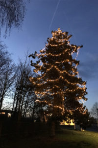 Weihnachtsbaum mit Beleuchtung am Eingang zum Quartier Süd an der Koblenzer Straße